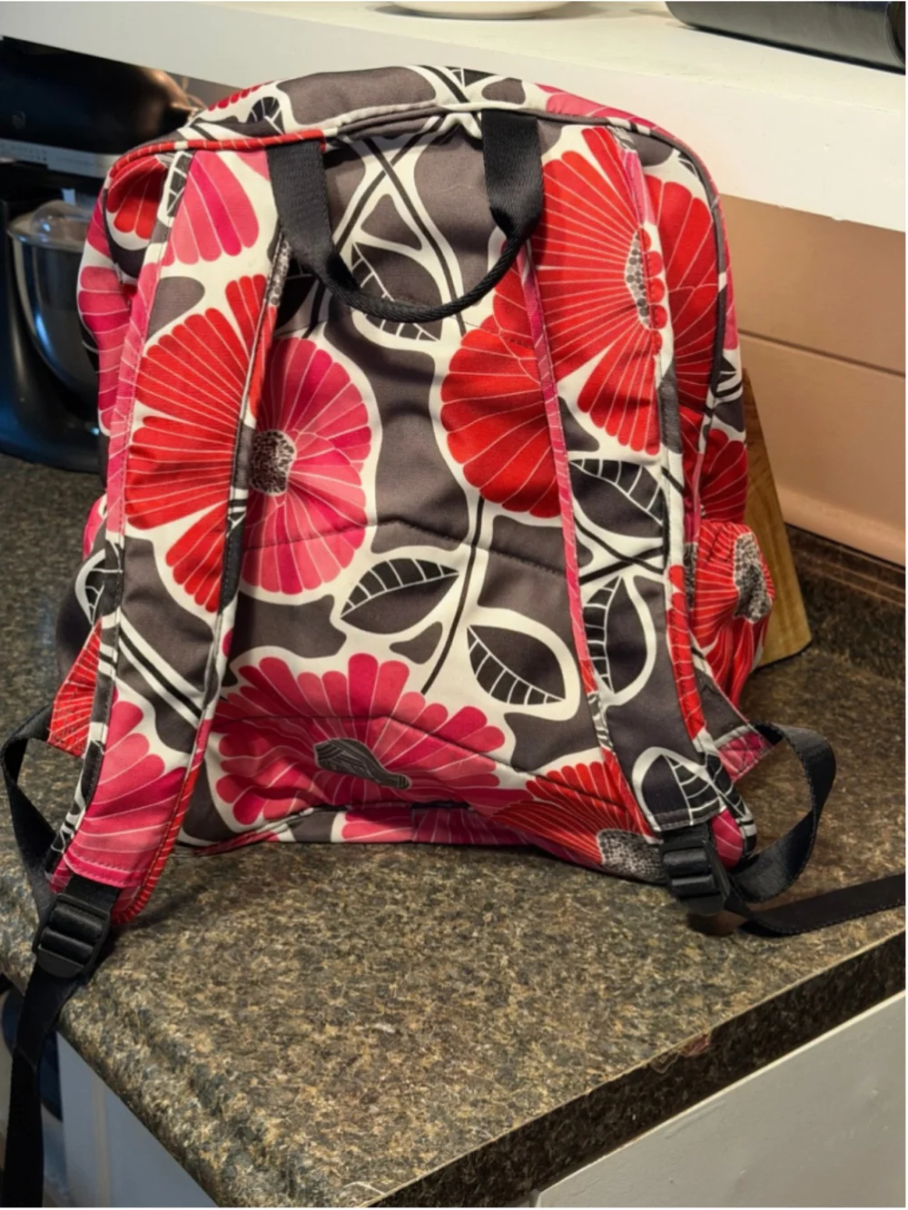 Vera Bradley Retired Cheery Blossoms Backpack